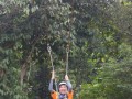 Tn DSC 4287